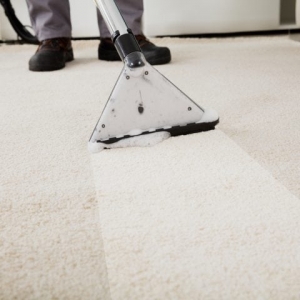 myhandyandy Carpet Cleaning